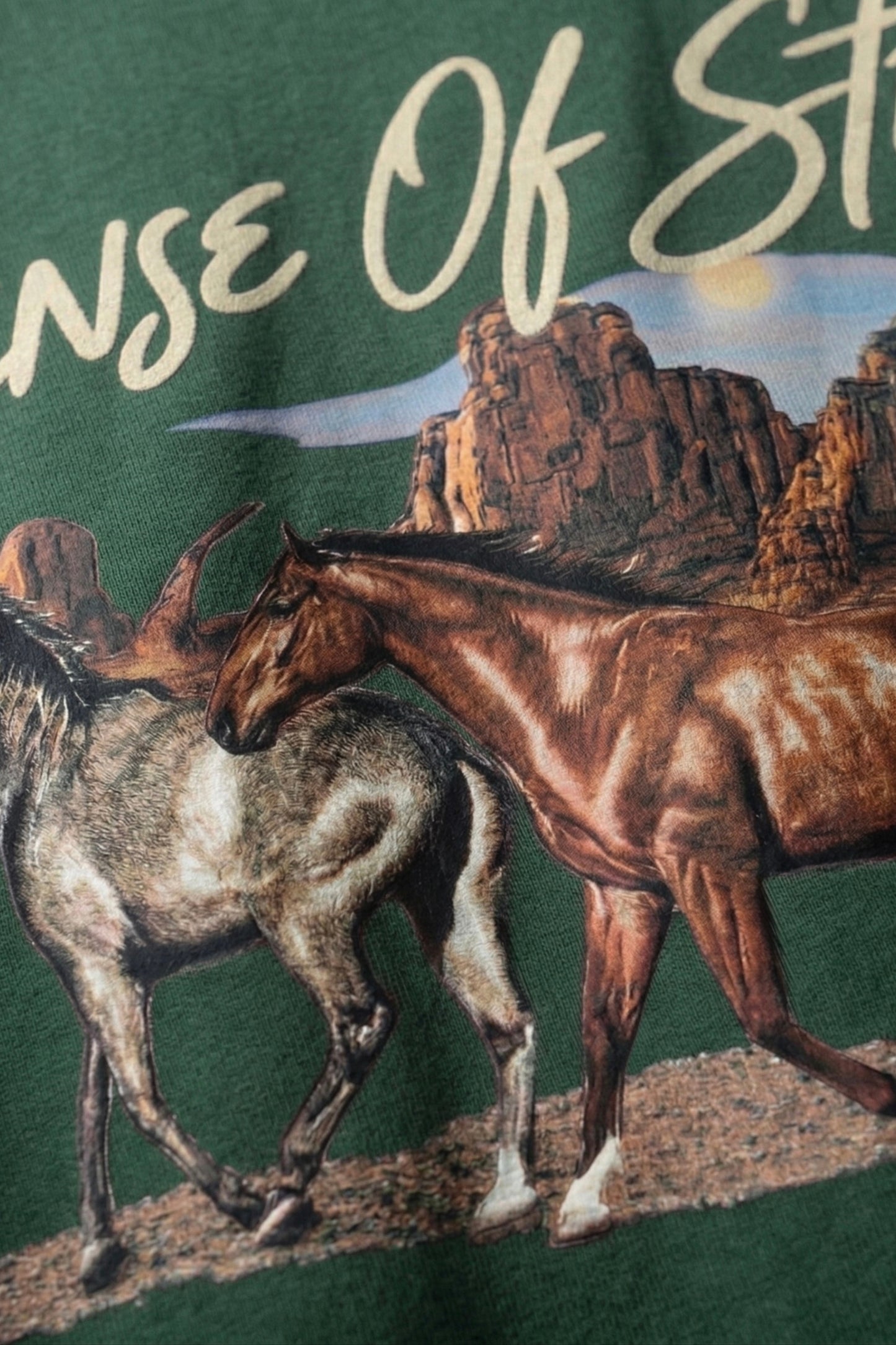 MIDNIGHT CANYON T-SHIRT