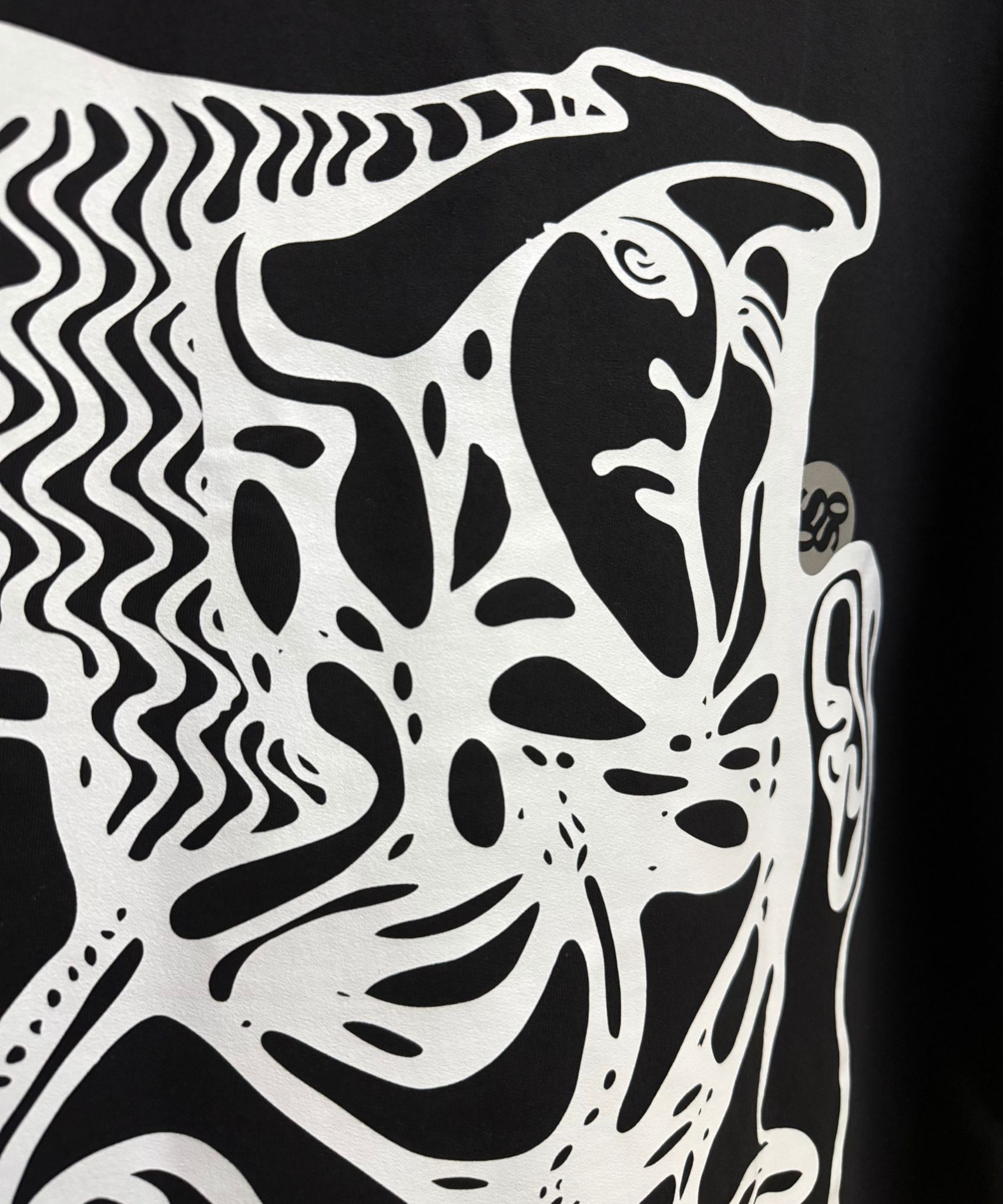 Unisex oversized fit styling of Art Chaos streetwear t-shirt for men and women